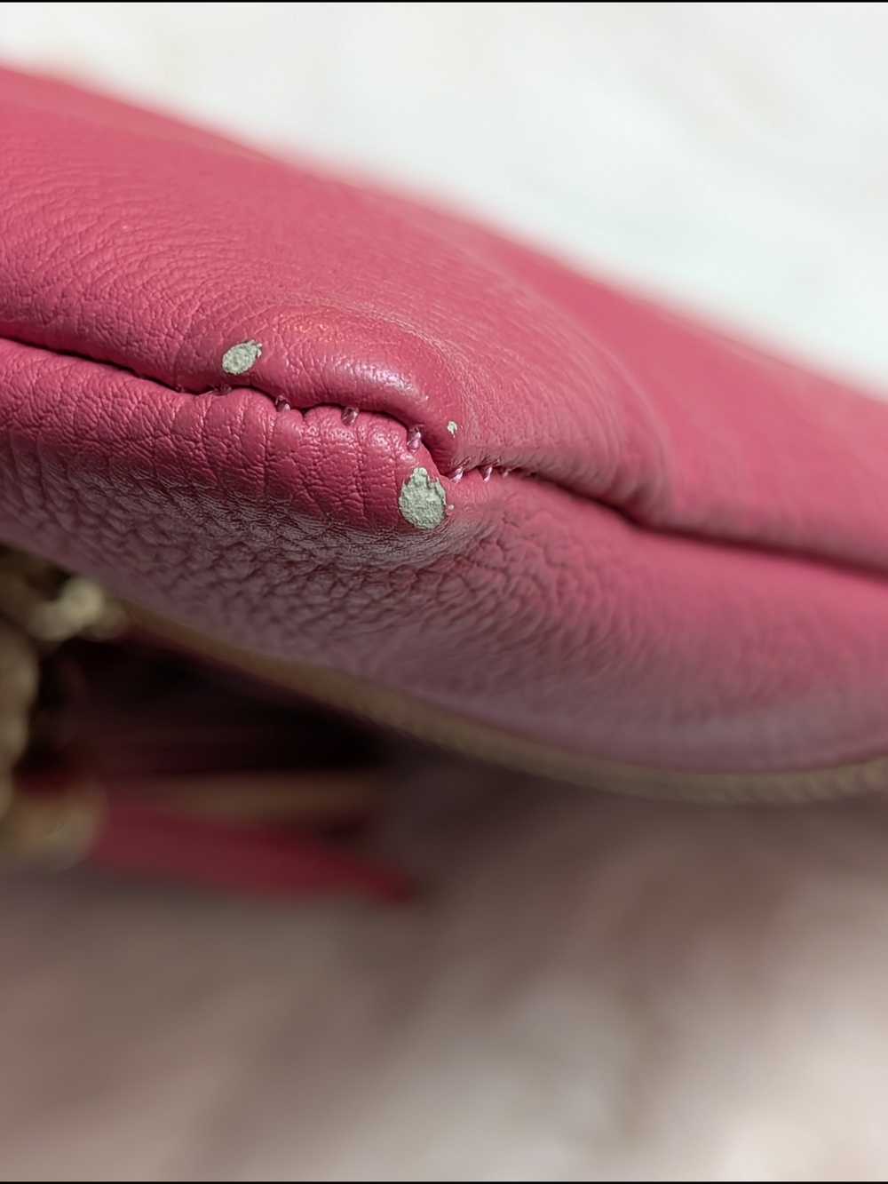 Bright Pink Tassel Crossbody Bag With Gold Hardware - Picture 8 of 9